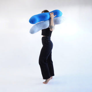 Cookie monster WIGGLE